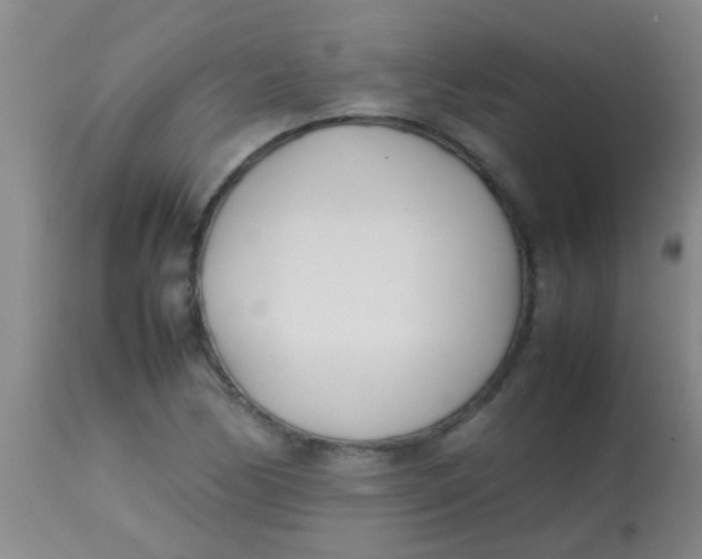 X0000113871170200910151253