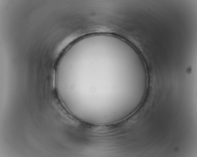 X0000113871171200910151253