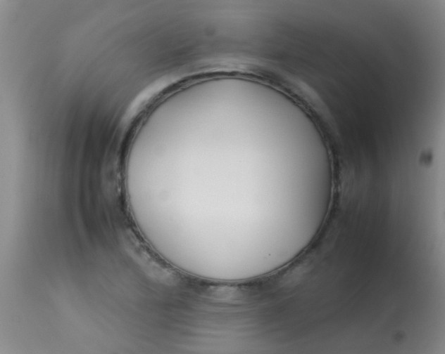 X0000113871172200910151253