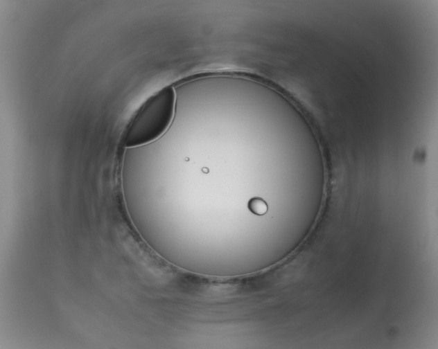 X0000113871173200910151253