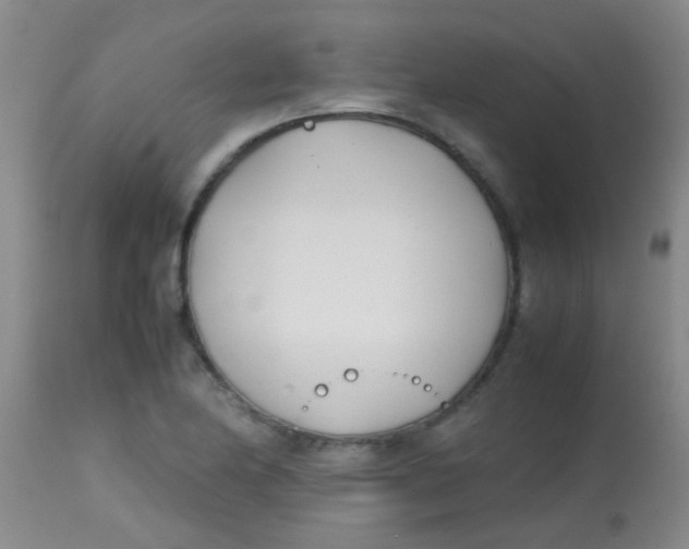 X0000113871174200910151253