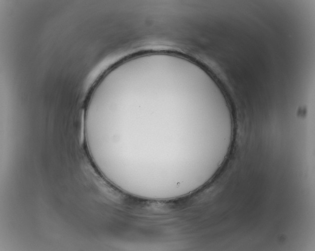 X0000113871175200910151253