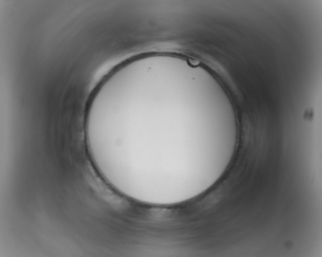 X0000113871176200910151253