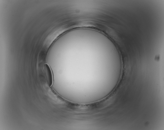 X0000113871177200910151253