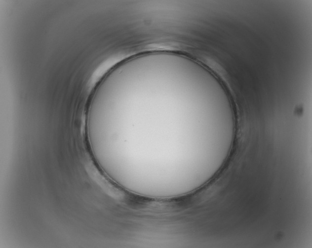 X0000113871179200910151253