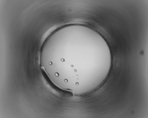 X0000113871180200910151253