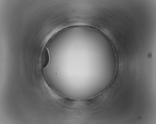 X0000113871181200910151253