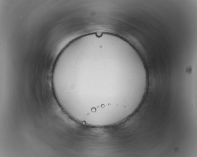 X0000113871182200910151253