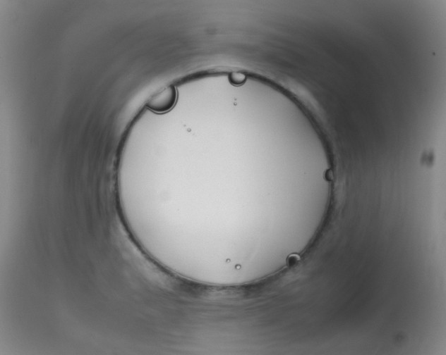 X0000113871183200910151253