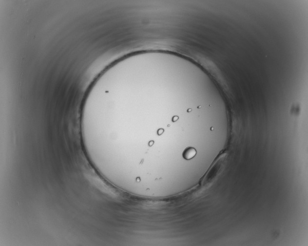 X0000113871184200910151253