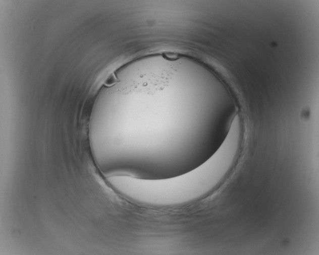 X0000113871185200910151253