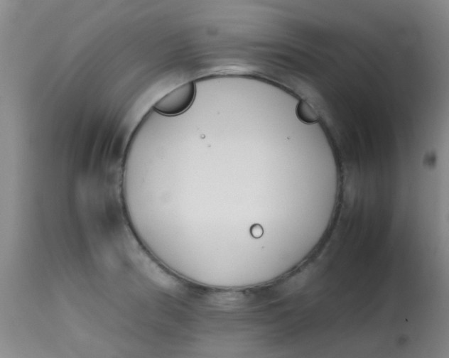 X0000113871186200910151253