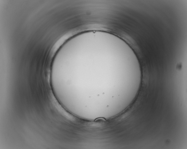 X0000113871188200910151253