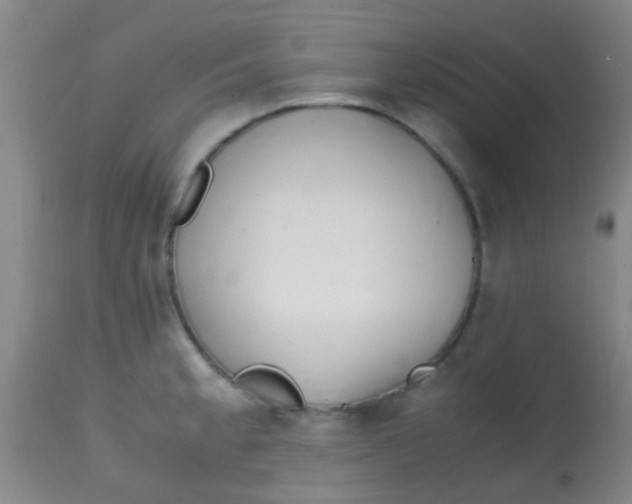 X0000113871189200910151253