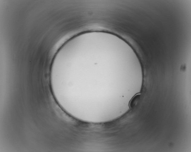 X0000113871191200910151253