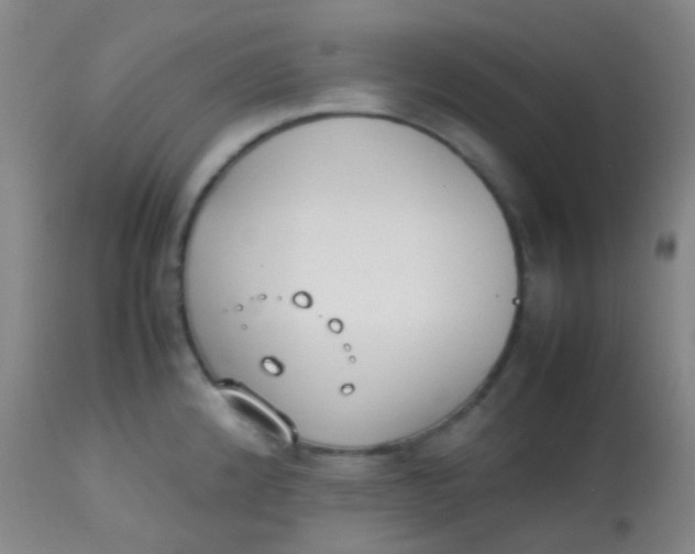 X0000113871192200910151253