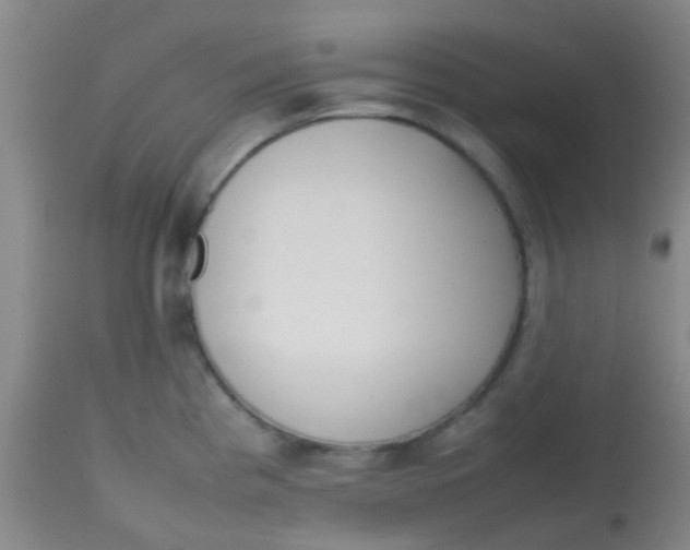 X0000113871193200910151253