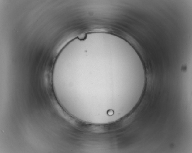 X0000113871194200910151253