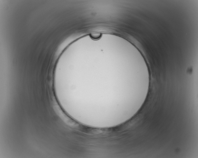 X0000113871195200910151253