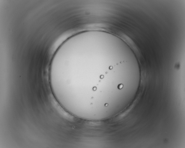 X0000113871196200910151253