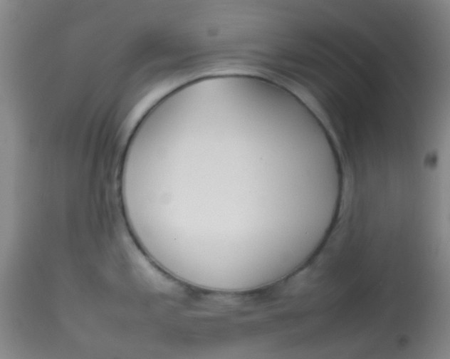 X0000113871197200910151253