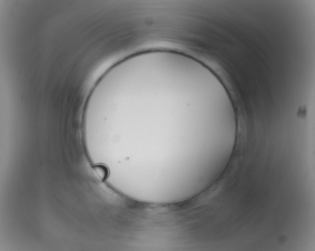 X0000113871199200910151253