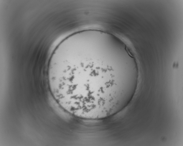 X0000113871200200910151253