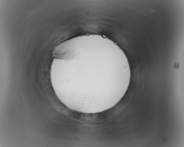 X0000113871201200910151252