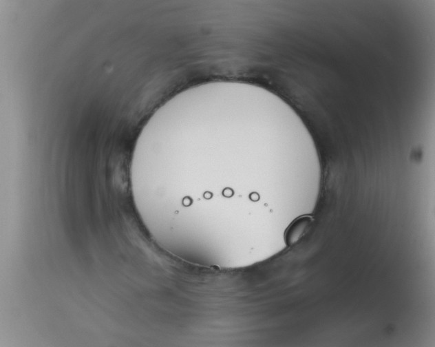 X0000113871202200910151252