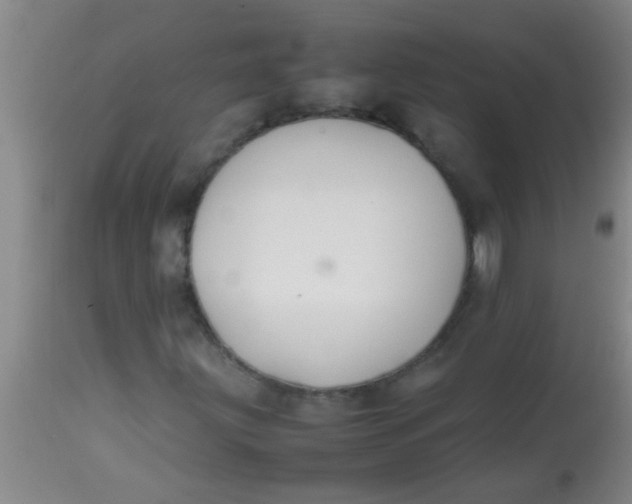 X0000113871203200910151252