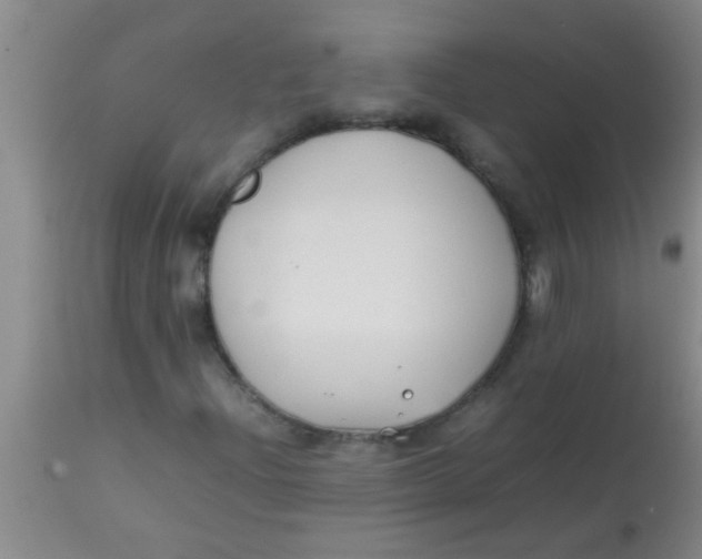 X0000113871204200910151252