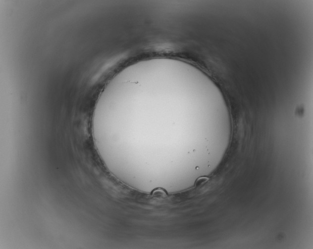 X0000113871205200910151252