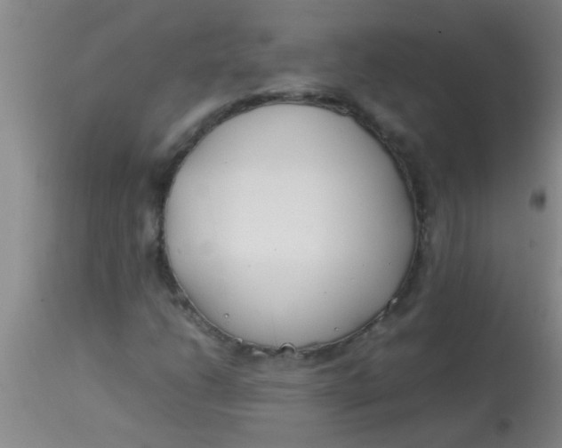 X0000113871206200910151252