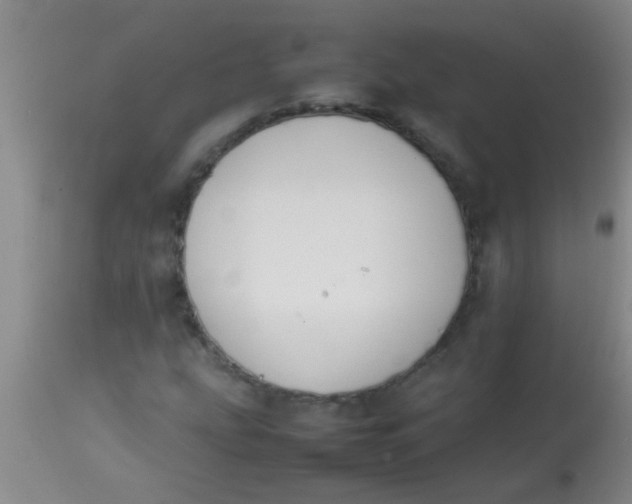 X0000113871207200910151252