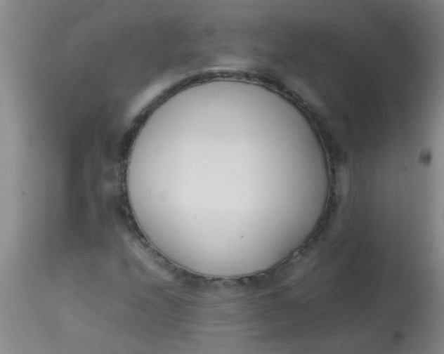 X0000113871208200910151252