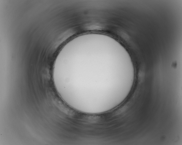 X0000113871209200910151252