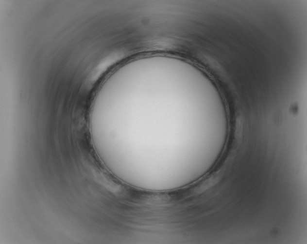 X0000113871210200910151252