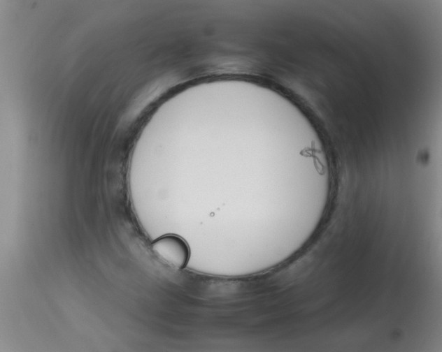 X0000113871211200910151252