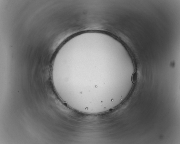 X0000113871212200910151252