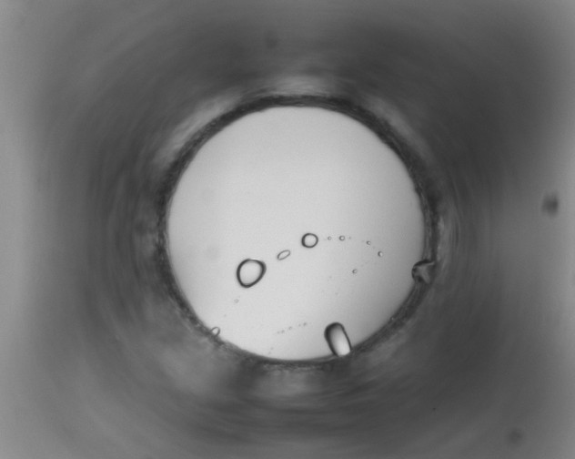 X0000113871213200910151252