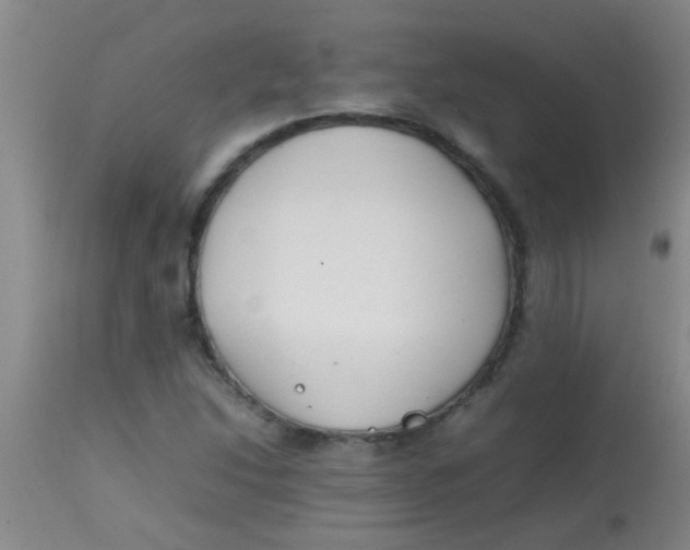 X0000113871214200910151252