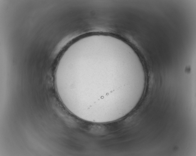 X0000113871215200910151252