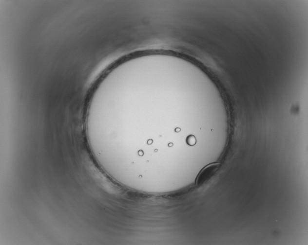 X0000113871216200910151252