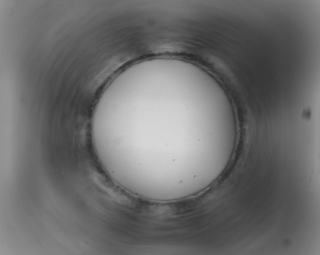 X0000113871217200910151252