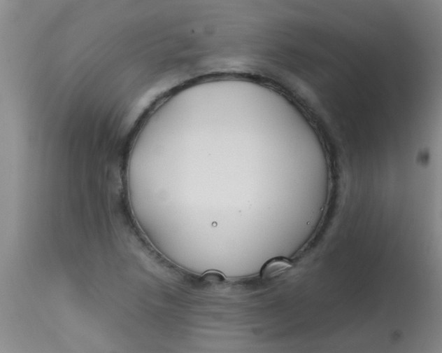 X0000113871218200910151252