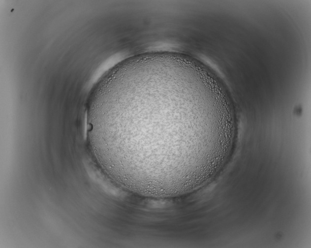 X0000113871219200910151252