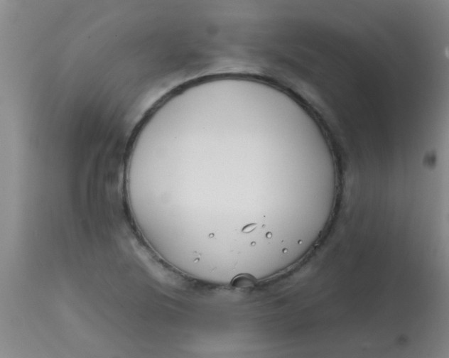 X0000113871220200910151252