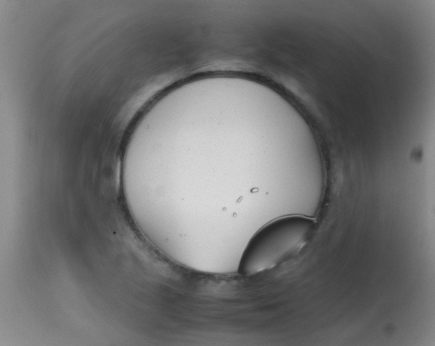 X0000113871221200910151252