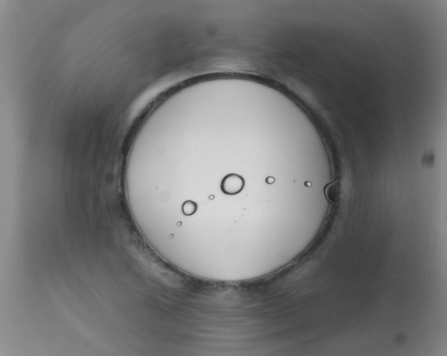 X0000113871222200910151252