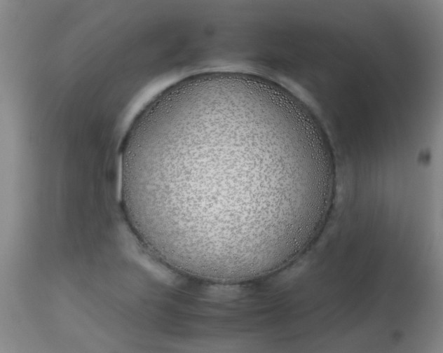 X0000113871223200910151252